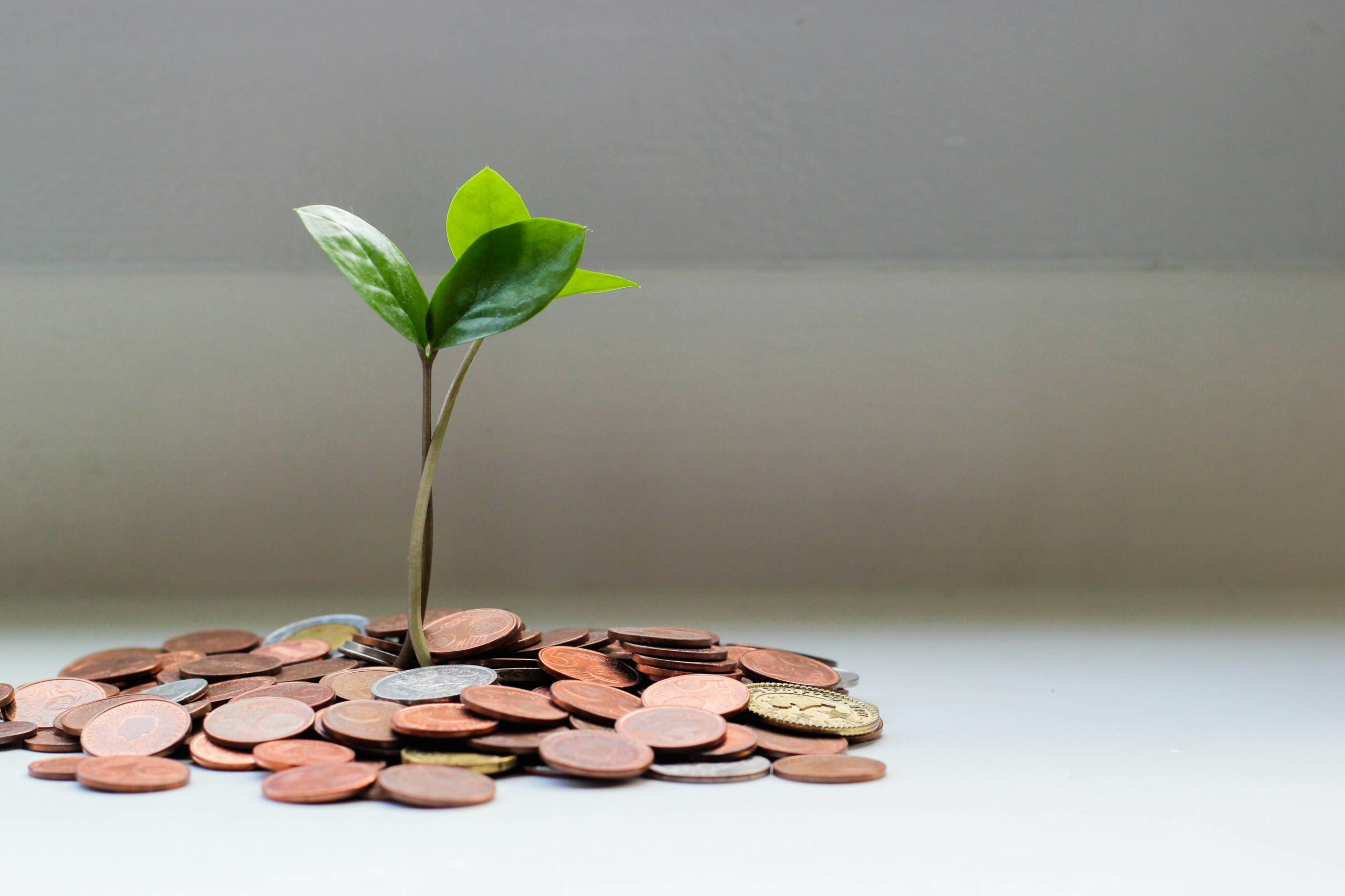 South African Consortium Launches $17 Million Seed Funding To Bolster Indigenous Startups