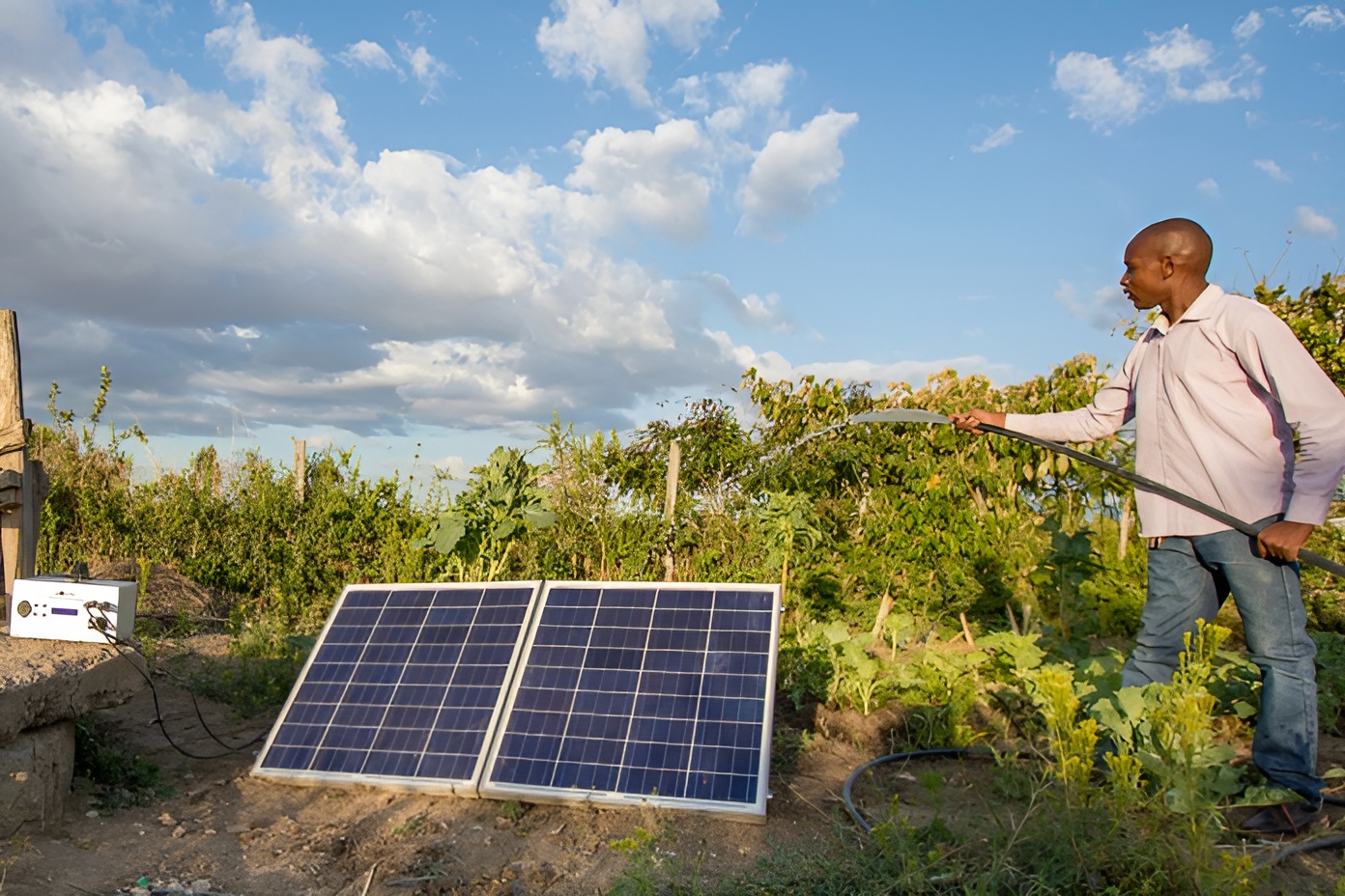 A farmer beside a solar panel and irrigated crops.